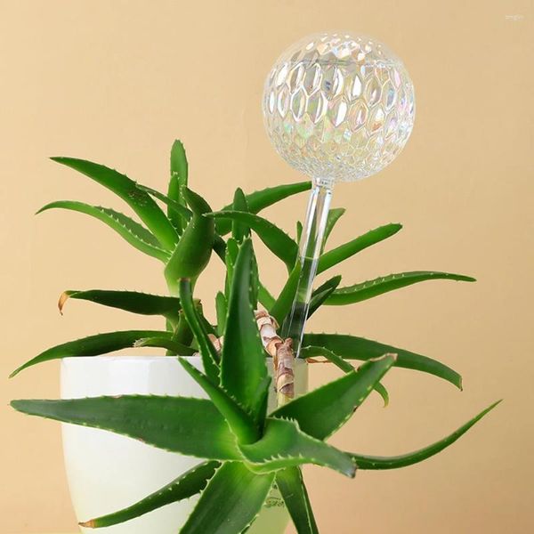 Vasos Bola de água auto -rega colorida fofa para plantas simples plantas de infiltração automática para água toda a casa