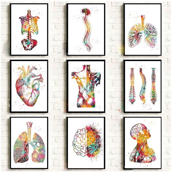 Home Human Anatomy Muscles System Wandkunst Leinwand Malerei und Drucke Körperkarte Wandbilder Bildungsdekor 240506