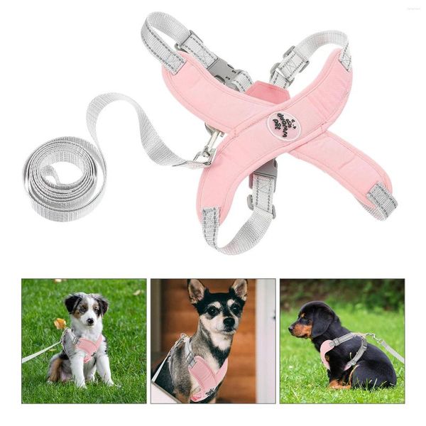 Collari per cani piccole imbracature per animali domestici Portatura portatile cucciolo riflettente per cani Accessorio rosa grande