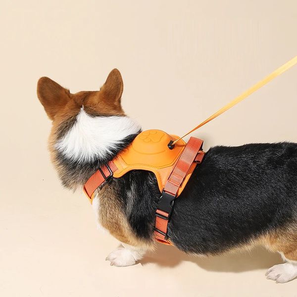 Pet Malzemeleri Otomatik Geri Çekilebilir Köpek tasması Kablo demeti yok küçük orta büyük köpekler için sandık ayarlanabilir göğüs bantı 240506