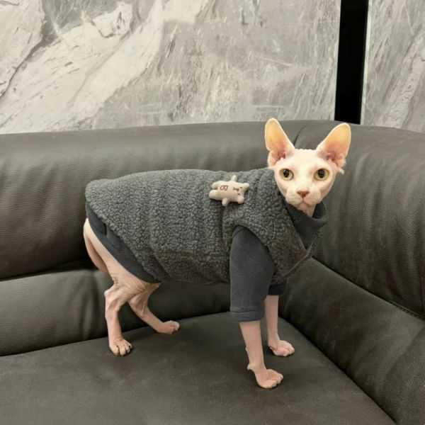 Abbigliamento gatti maschi abiti vestito pile campata per campata per sphynx gatto inverno felpa morbida morbida per gattini caldi giubbotti spessi per il devon rex