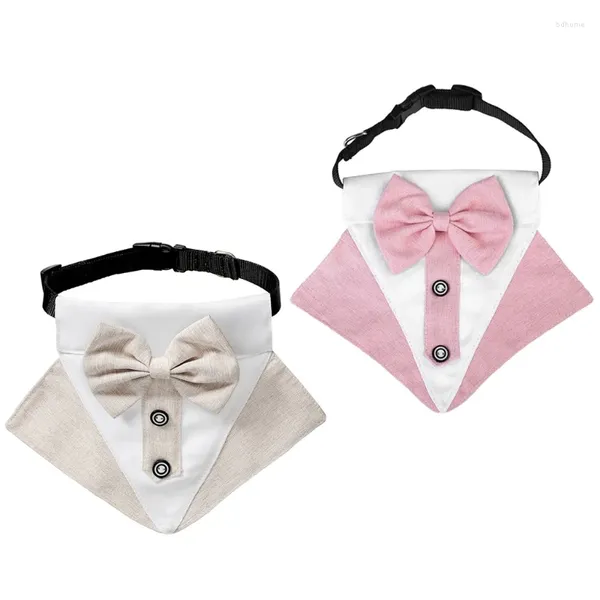 Abbigliamento per cani 2 pezzi Fashion Wok Tame Stume Collar Collana regolabile Catena Cool Cosplay Decoration Decorazioni per animali domestici