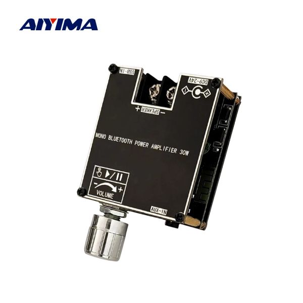 Amplificadores AIYIMA 30W Bluetooth amplificador Audio Board Mono Power Amplifier Sound Amplificador Home Theater Home ADUIO AMP TWS