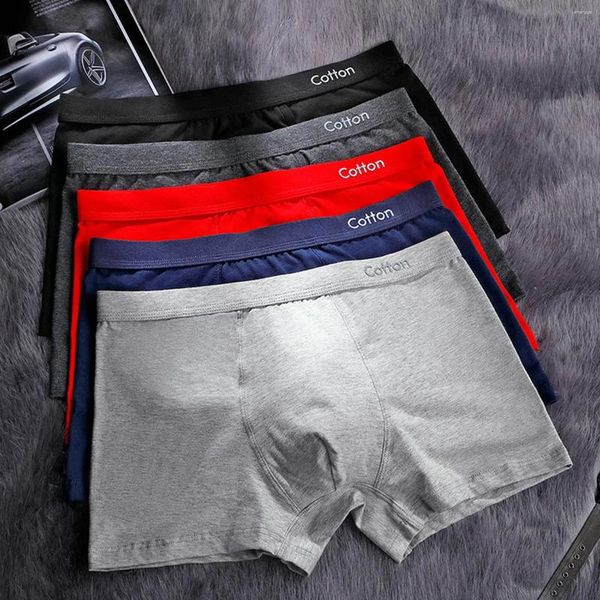 Underpants 5pcs Pack Pack solide Stil 2024 Men Boxer Shorts Höschen Polyester Unterwäsche Männliche Marke und für Homme Luxus Set Box Slips