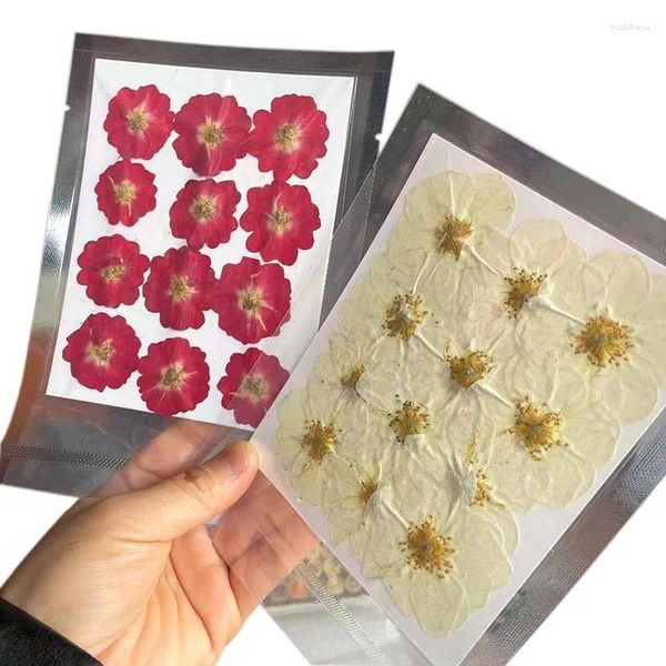 Dekorative Blüten 24PCs/Real natürlicher gepresster getrockneter Rosenkopf Trockenpresse Rosen in Beige Rot für Epoxidharz -Schmuckhülle