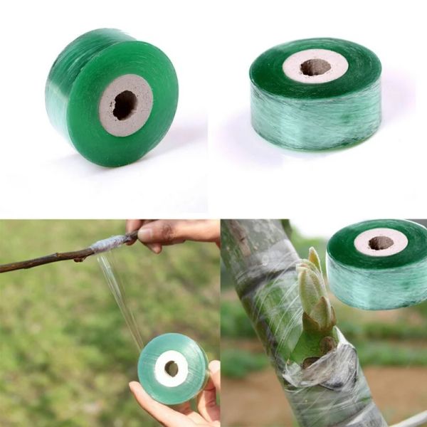 Film 100mx 2 cm/rotolo di potatura elasticiosa barriera in erba Barriera Floristry Tree Fruit Fruit Nursery Garden Plants Tools