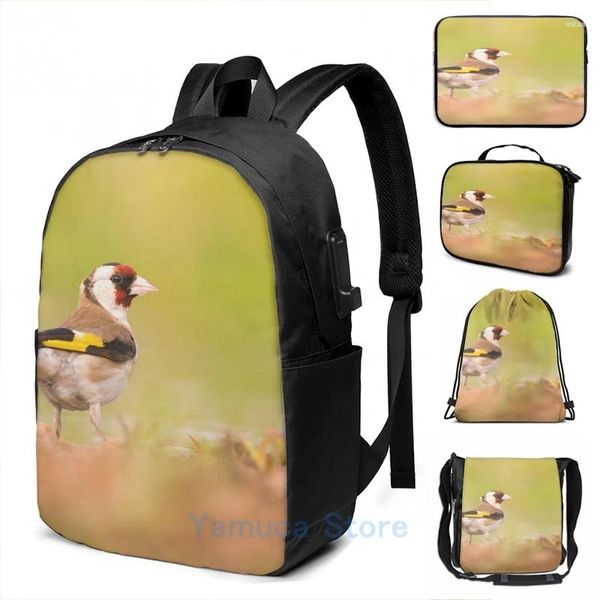 Rucksack Grafikdruck Europäischer Goldfinch (Carduelis carduelis) in Züchtung des Gefieders USB -Ladungsschule für Schulreise -Laptop -Tasche