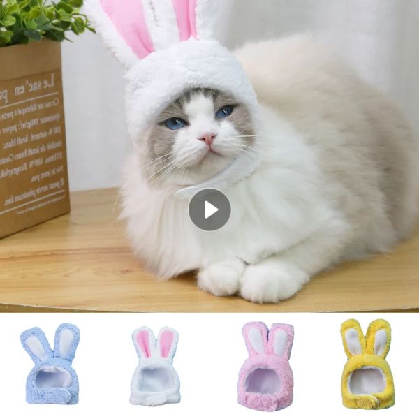 Case carini copricapo gatto coniglietto drag cappello da gatto coperto per cane costume performance fotopropli divertenti cappello da pet orecchie di coniglio cosplay hood calda