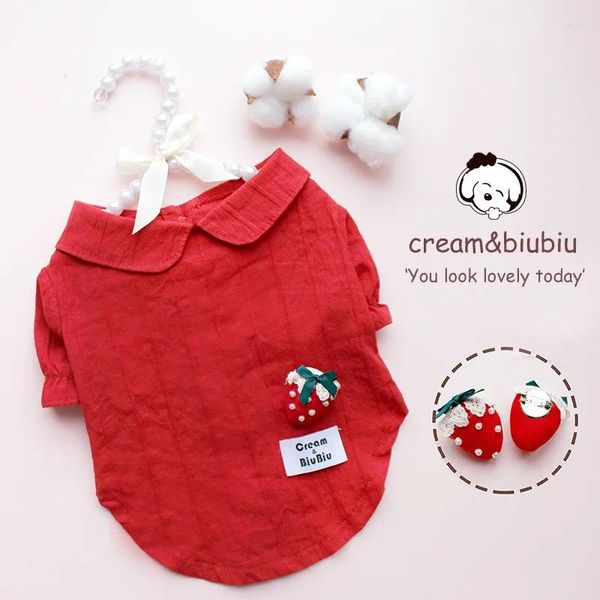 Vestuário para cães roupas de estimação de mangas de bolha vermelha para cães roupas gatos pequenos morangos camisetas de pinos