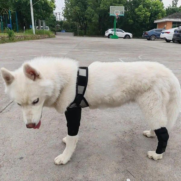 Cinghia di abbigliamento per cani cinghia del supporto per il ginocchio ferito Bandage Avvolgimento della banda per forniture canine ACL strappate