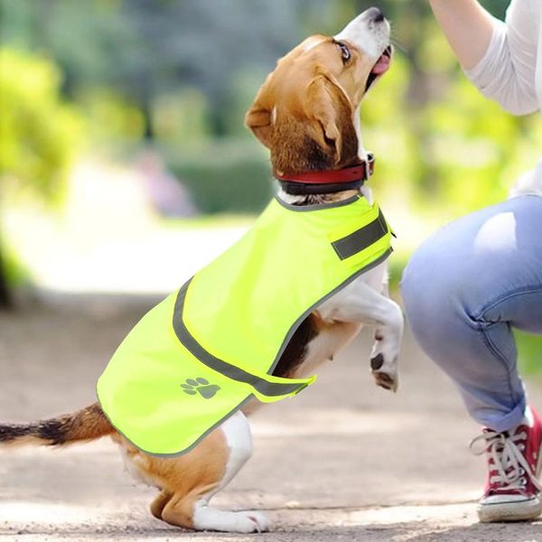 Coletes de coletes refletivos para cães Cães pequenos Segurança laranja de laranja Fluorescente Fantasia ao ar livre de animais de estimação