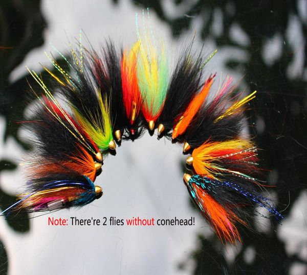 Tigofly 12 PCSLOT Fly Assorted Tube Set per Trota di salmone Fizia Fishing Flies Fuci di pesca set2809181