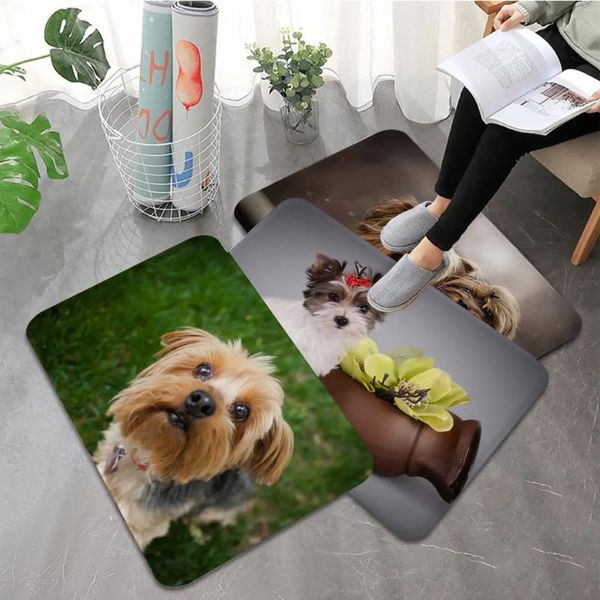 Teppiche Yorkshire Terrier Hund Welpe gedruckt Flanellbodenmatte Badezimmer Dekor Teppich nicht rutsch für Wohnzimmer Küche Willkommens Fußmatte