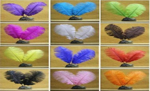 11 cores brancas avestruz preto penas plumas jóias diy jóias fofas de penas festas de casamento acabamento boa decoração 100pcs 68quot 1598463412154