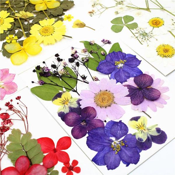 Fiori decorativi decorazioni colorate fai -da -te vera fiore asciutto UV resina epossidica ripieno di stampo stampo collana gioielli che producono accessori artigianali