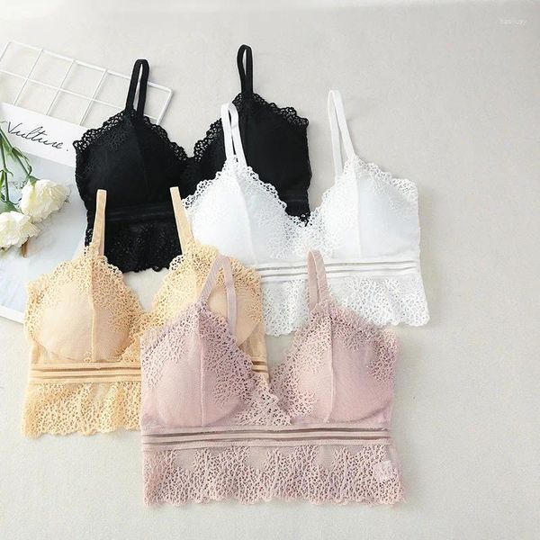 Tank da donna Tube Top Reras Lace Braralette Donne Crop Tops Sexy Linger V Neck Undnera senza cucitura Bra Female Tank Female Tank