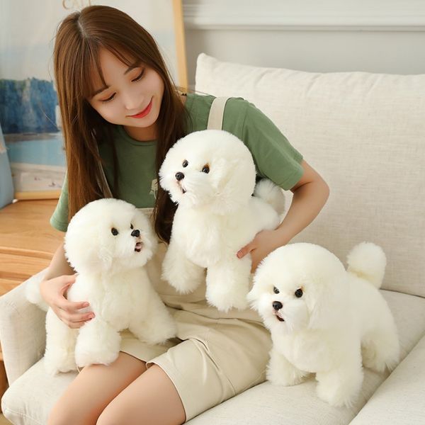 Simulação de alta qualidade Bichon Frise Dog Pluxh Toy Brinquedado Coreia Coreia