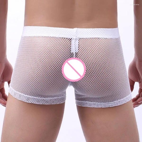 Underpants Uomini senza sudore Mesh Boxer biancheria intima morbida traspirante bassa vita u convessa trasparente sottile