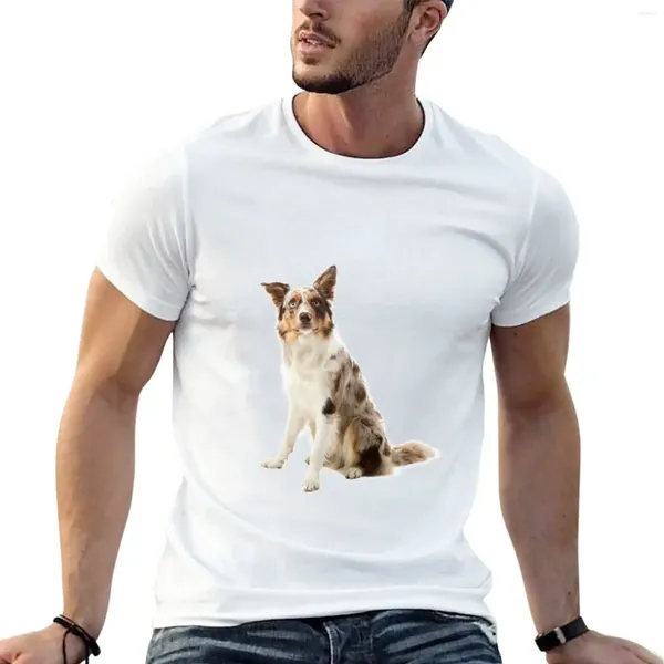 Erkek Polos Border Collie Indie T-Shirt Ağır Ağırlıklar Üstler Erkekler için T-Shirts Pamuk