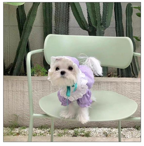 Hundekleidung Haustier Kleidung Frühling und Sommer dünne atmungsaktiven Spitzen -Hemdhut -Set für kleine Hunde Teddy Bichon Chihuahua Mädchen