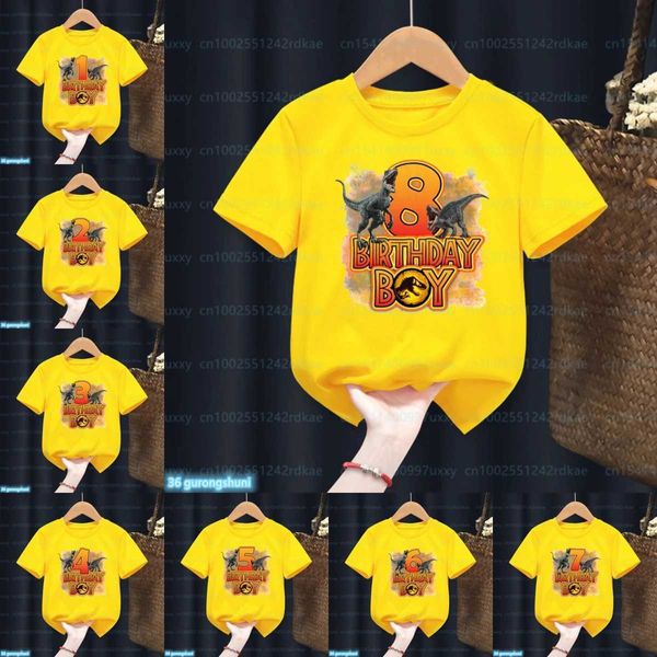 T-shirts Funny Jurassic Park Número 1-13 Dinosaur de camiseta Feliz aniversário Camiseta Baby Kids Roupe