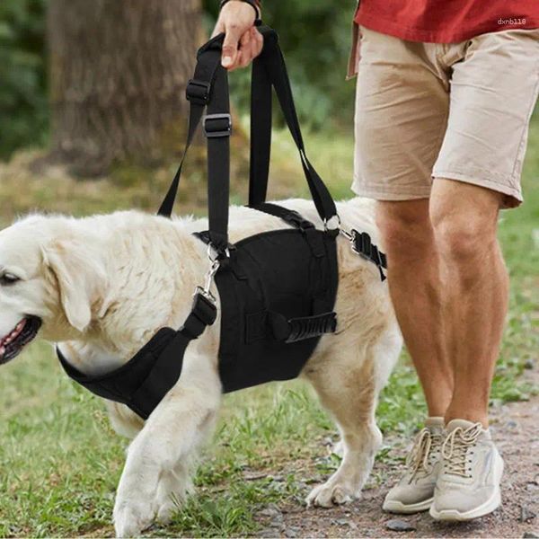 Collari per cani Easy Walk Harness Vestinato per camminare con manico di controllo Nessun petacolo