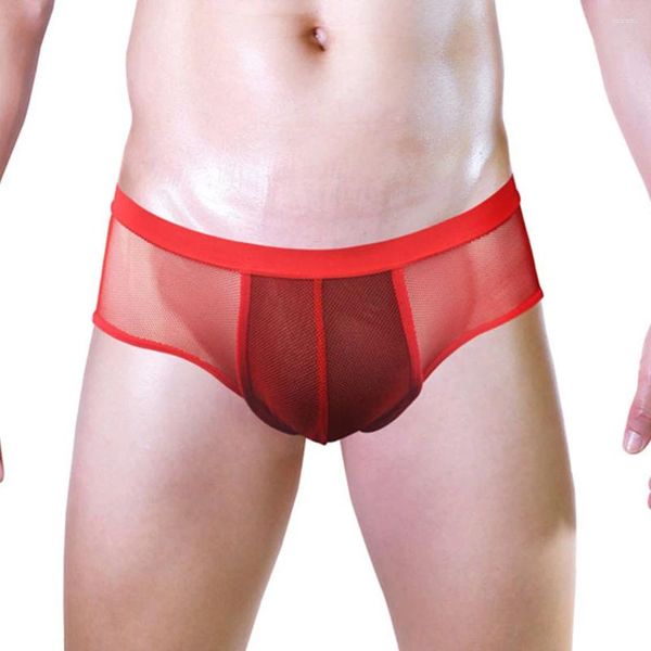 UNDUPTS Sissy Mens Mesh See-Through Low Rose Lingerie Boxer Briefs Pouch İç çamaşırı erotik nefes alabilen erkek şort