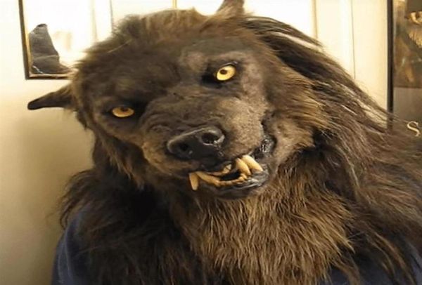 Mascheri per feste Werewolf Costenite Costume Mask Simulazione Wolf for Adults Children Halloween Cosply Full Face Cover303S1832422