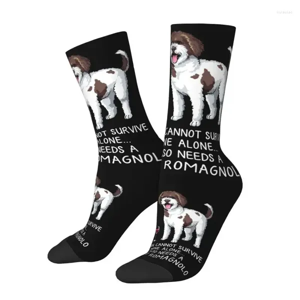 Erkek çorap serin baskı komik şarap ve lagotto romagnolo köpek erkekler için kadınlar streç yaz Sonbahar Kış Mürettebatı