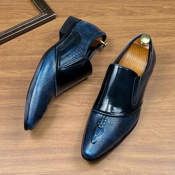 Casual Shoes Sipriik 2024 Spring Fashion Herren echte Leder -Laobers Braun Blue Black Gummi Sole auf Lagerbestand