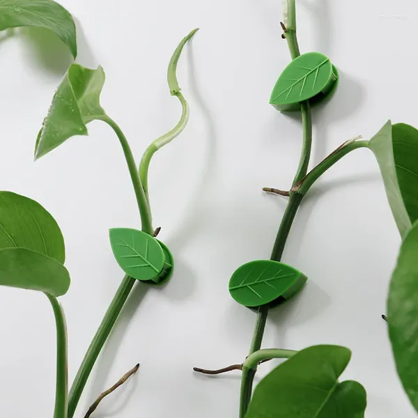 Flores decorativas Fixador de escalada de parede Clipe de planta verde fivela sem fivela não prejudica as plantas das plantas da parede Decorações de Halloween para casa