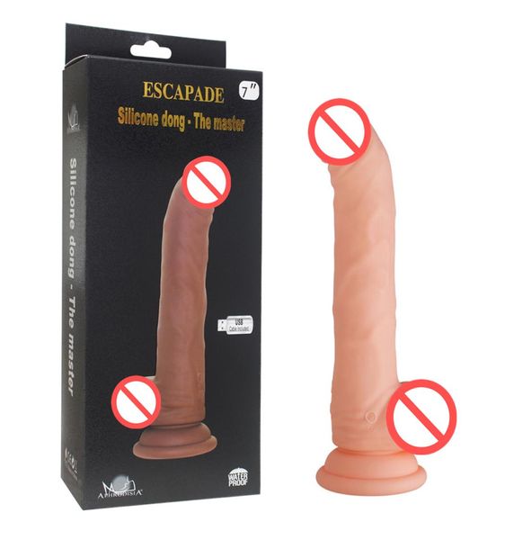 Howells Silicone Dong ricaricabile dildo grande con 10 funzioni vibranti giocattoli sessuali di aspirazione forte per donne shop sex8579799