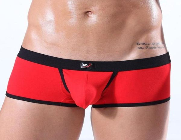 Underpants Man Werewwear di cotone senza saldatura maschio sexy boxer per boxer per mini tronchi gay