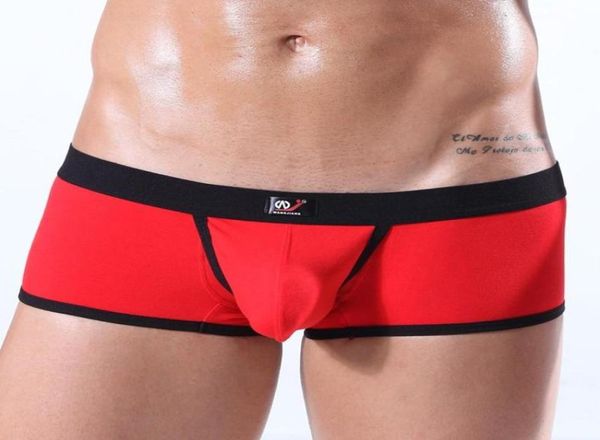 Underpants man werewwear di cotone senza saldatura maschio sexy boxer boxer per mini tronchi gay