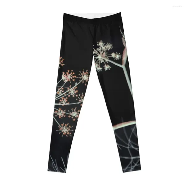 Aktive Hosen Nacht flüstert.Dunkle Blumen -Leggings Sport Yoga Pant Women