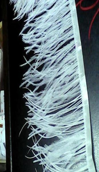 10 yardslot White Strich Feather Tranming Fringe 1013 cm in larghezza per abiti da sposa25272722
