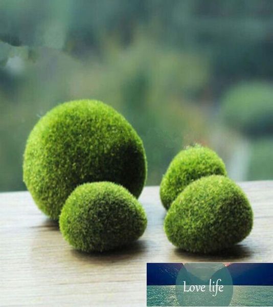 Nova resina sintética Green Moss Ball 3size Marimo Aquário Planta Cladophora Subaquática Tanque de peixes Ornament9372276