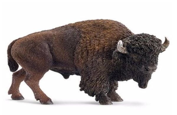 Modelo Nimal American Bison Figuras Colecionável Feliz Kids Educational Boys Resina Art Craft Art Home7312659