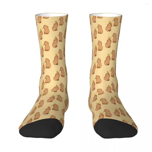 Herrensocken zwei süße Capybara -Meerschweinchen -Socken Frauen Frauen Polyester -Strümpfe anpassbares Design