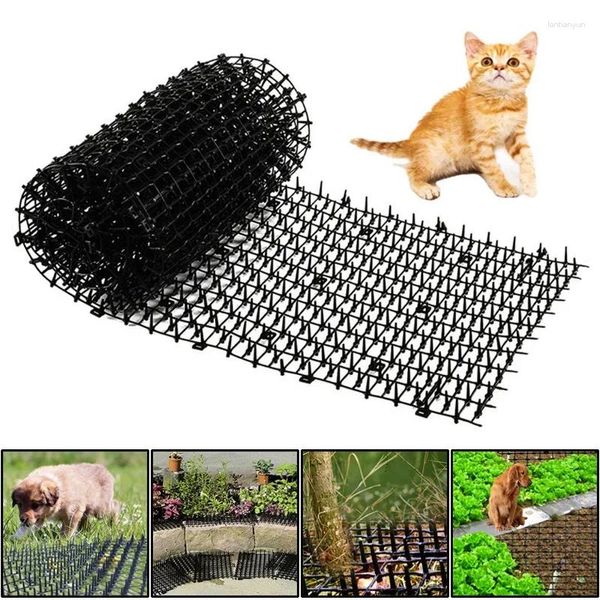 CATTORI CATTORE 2M GARDENT ANTI-Cat Cane Ret Mat Mat tappetino in plastica Spike Spike Paperino Deterrente Green Pianta Protezione Cucciolo Aw Away Mats