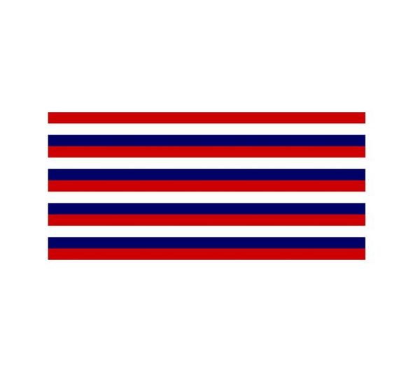 3x5ft Flagge von Fort Mifflin billig digital bedrucktes Polyester Fabric Alle Länder im Freien im Freien Nutzung Drop 5829478