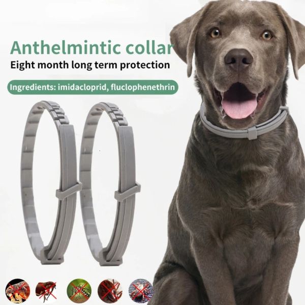 21pcs cão anti -pulga e ticks gatos colarinho de gato de 8 meses de proteção de 8 meses de colares retráteis adequados para acessórios de gatos de cachorro 240428