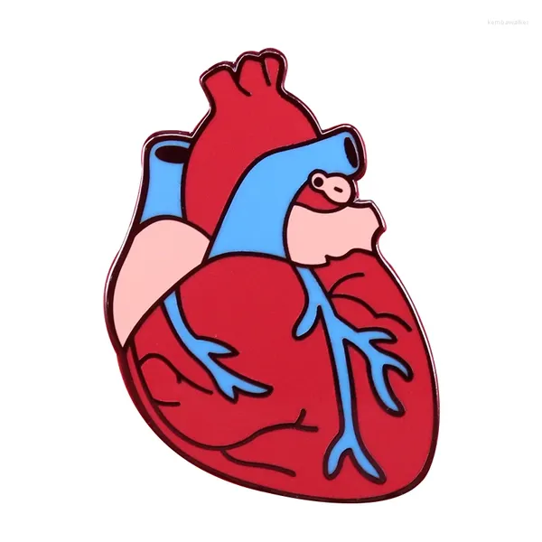 Broschen anatomische Herz Pin Körper Orgel Brosche Weird Goth Badge Schmuck Ärzte Krankenschwestern Kardiologen Geschenk