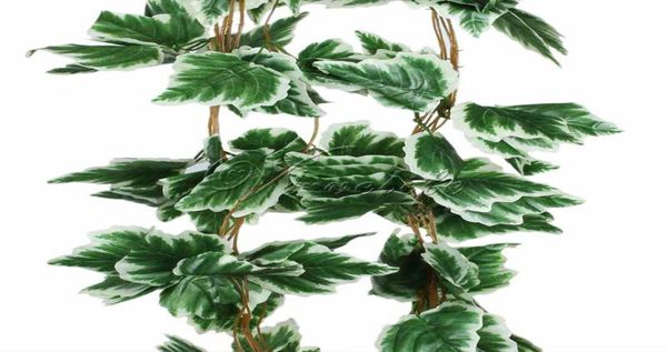 10pcslot Artificial Big Leaf White Uva Ivia Plantas Garland Vine Folhas Folhas Flores de Casamento Decorações de Casa 75feet5028266