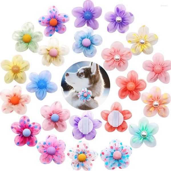 Доборель для собачьей одежды цветочный кошачий воротниц с жемчужной точкой сплошной массовой массовой массовой шарм