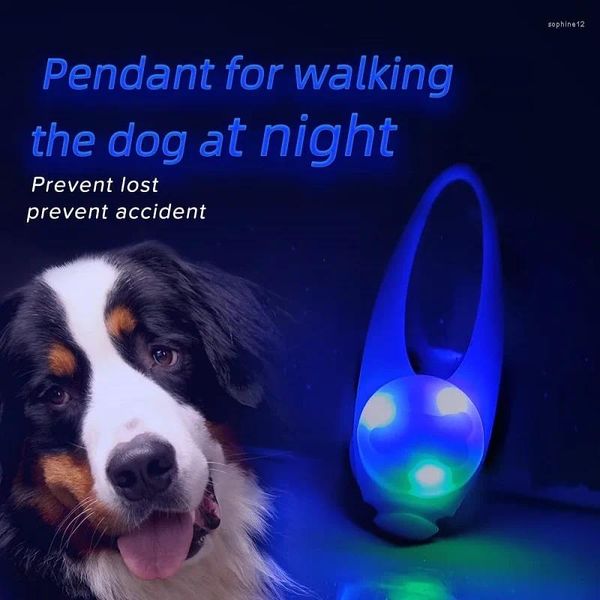 Hundebekleidung wasserdichtes Haustier Sicherheitsstrobgabeless Leine Halskette LED -LED -Halsband für große mittelgroße kleine Hunde Nacht Walking Camping