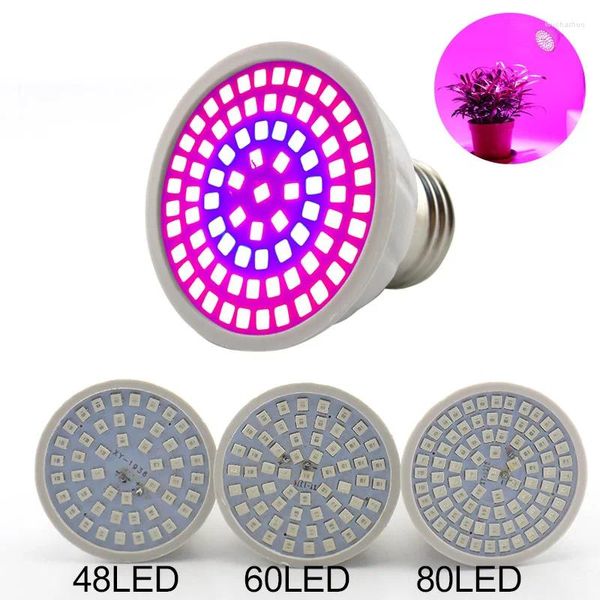 Grow Lights 10pcs 60 80 Светодиодная светодиодная лампа