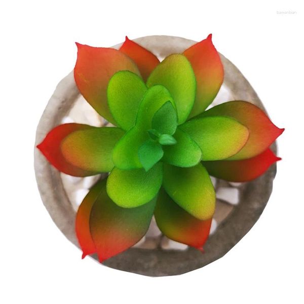 Flores decorativas Plantas suculentas simuladas Bonsai Sempervivum Arachnoideum sem Flowerpot Natural Flor Artificial Syzygium