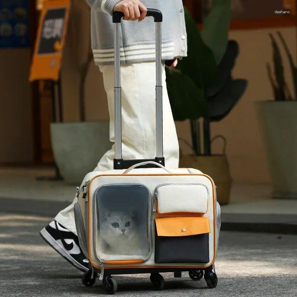 Transportadoras de gatos portador de boa aparência para conveniente sair da cesta de animais de estimação Carripagem universal Animais