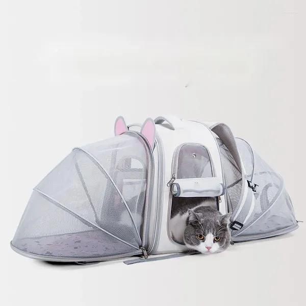 Katzenträger große Tasche Haustierzelt Expansion Doppelter Schulter tragbarer Rucksack Nest -Kapazität Hund Ausgang